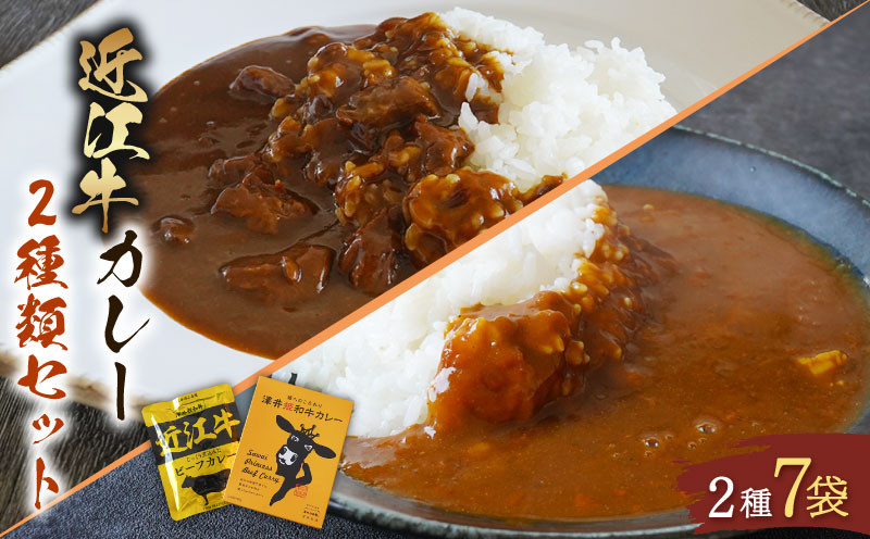 
近江牛 カレー 2種 セット　澤井姫和牛 ( 近江牛 ) カレー 200g × 2袋 近江牛 カレー 160g × 5袋 セット 計 7袋 カレー【 レトルト カレー 近江牛 カレー 黒毛和牛 牛肉 1200g 肉 ギフト 自宅用 高級 黒毛和牛 国産 ごはんのお供 ふるさと納税 ブランド牛 三大和牛 和牛 贈り物 神戸牛 松阪牛 に並ぶ 日本三大和牛 滋賀県 竜王町 澤井牧場 送料無料 】
