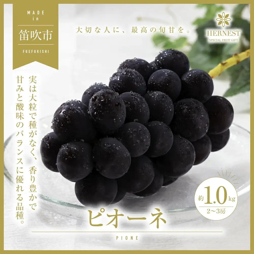 【2026年発送★先行予約】山梨県笛吹市産　旬の採れたてピオーネ　約1kg　2～3房 105-014-26y