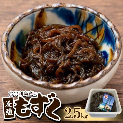 ふるさと納税 今帰仁村 古宇利島産の養殖もずく2.5kg