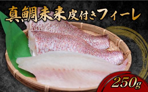 真鯛未来　皮付き フィーレ 半身分 約250g