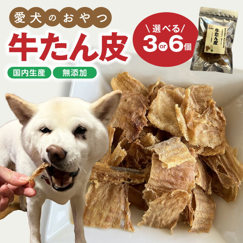 【ふるさと納税】犬 おやつ 牛たん皮 40g 3個 6個 選べる 小分け 愛犬のおやつ 間食用 ペットフード 安心 国内生産 愛犬 ワンちゃん わんこ 喜ぶ 簡単 手で割れる ペット ドッグ ペット用 犬用 アップサイクル品 愛知県 碧南市 送料無料