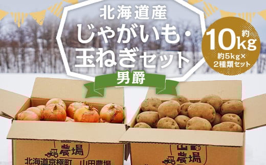 北海道産 じゃがいも 男爵 玉ねぎ セット M～2Lサイズ混載 各約5kg 合計約10kg 2箱 山田農場 ジャガイモ タマネギ 国産 【2025年10月上旬-2026年3月上旬迄発送予定】_イメージ