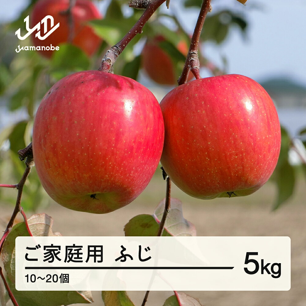 【ふるさと納税】 2026年 山形県産 ご家庭用 ふじ りんご 5kg（10～20個） 2026年11月下旬頃から順次発送 送料無料 ※沖縄・離島への配送不可 tj-risfk5