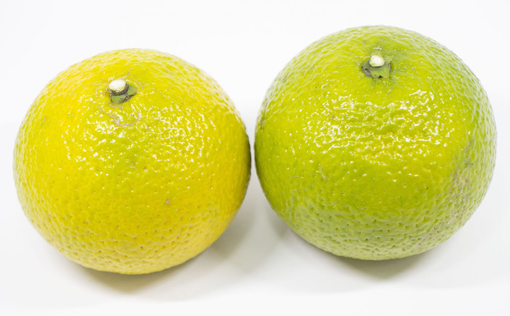 特別栽培スイートスプリング 8kg サイズミックス