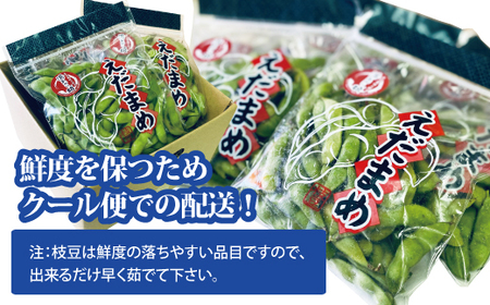訳あり 枝豆 湯あがり娘 約1.6kg 家庭用 【2026年7月中旬より順次発送予定】 小分け 愛媛 伊予市｜B239