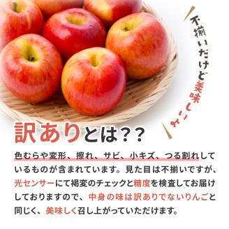 【2026年3月前半発送】【訳あり】青森県産 葉とらず サンふじ りんご 約5kg