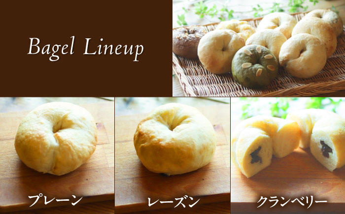 自家製天然酵母のベーグルセット 計約1kg / パン ベーグル セット / 佐賀県 / パンと器のコネル [41AJAB003]