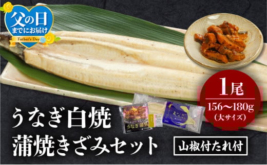 《父の日までにお届け予定(6月1日～6月15日)》うなぎ白焼(大サイズ)・きざみセット_M069-021-FD