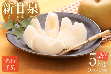 【先行予約】（訳あり）中野農園 梨 ”新甘泉” 5kg箱｜鳥取 岩美 梨 なし ナシ※お届けは2026年8月下旬以降【41022】