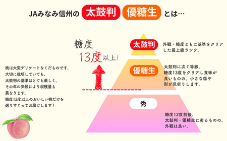 JA03-25A【2025年先行予約】桃 あかつき 約5kg / 2025年7月下旬頃～配送予定 // 贈答 センサー選別 糖度センサー 桃 もも 果物 フルーツ ギフト あかつき 太鼓判 優糖生 南