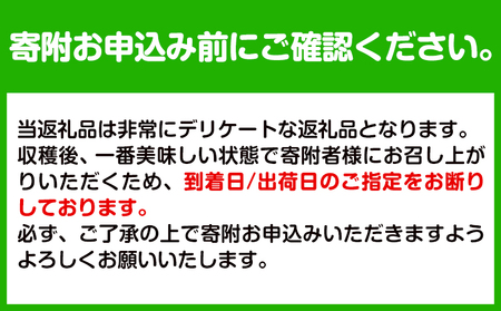 【先行予約】八朔 はっさく ネット入 約15kg 3L-Lサイズ JAわかやま 紀の里地域本部 《2027年1月上旬-3月末頃出荷》 和歌山県 紀の川市 果物 フルーツ 柑橘 はっさく