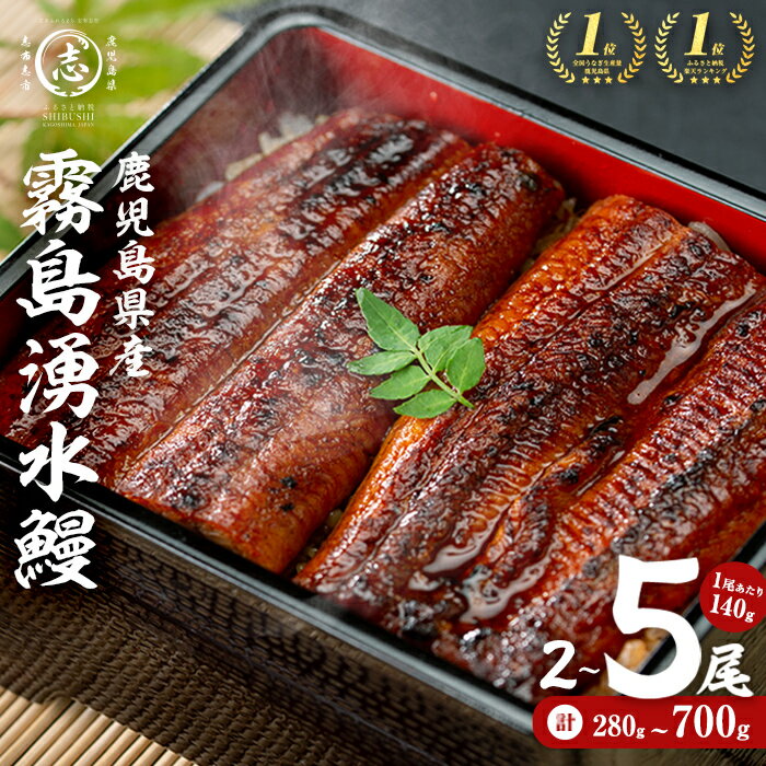 うなぎ生産量日本一の鹿児島県！山田水産の霧島湧水鰻 160g以上×5尾＜計800g以上＞