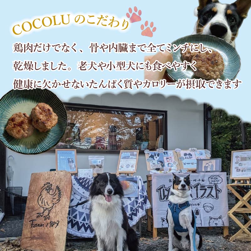 養鶏農家が本気で作るペットフード【COCOLU】鶏肉ミンチ300g 3袋 愛犬 愛猫 ペットフード 冷凍 フード ペット おやつ 犬 猫 ごはん 鶏肉 無添加  国産 肉 ドックフード キャットフード