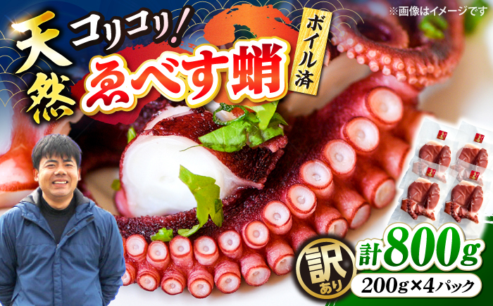 【訳あり】 天然 ゑべす蛸(ボイル済) 計800g（約200g×4）＜大瀬戸町漁協＞ [CAR009] たこ