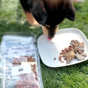cafe hana ペット用 無添加の手作り ジャーキー 愛犬への贈り物 12種類 から 7袋 セット 納豆 鶏ささみ 牛タン 牛タン 鶏肉 鹿レバー