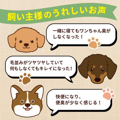 ふるさと納税 玉名市 アニマル・ワン　手作り風ドッグフード　犬の雑穀ごはんたきこみ(チキン)100g×10袋(玉名市) |  | 03