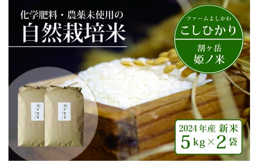 2025年収穫分、予約開始！信濃町産コシヒカリ「割ケ岳 姫乃米 10kg（5kg×2）」令和7年度の新米 ｜ 農薬未使用の自然米 【2024年11月以降発送】長野県信濃町ふるさと納税