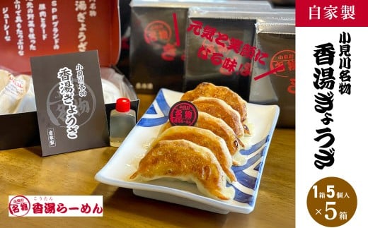 小見川名物　香湯ぎょうざ　1箱5個入り×5箱セット/ 餃子 ぎょうざ 水餃子 水ぎょうざ 鍋 肉 お肉 おつまみ おかず おすすめ 惣菜 お惣菜 食品 加工食品 加工品 /KTRBB004
