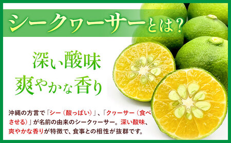 訳あり シークヮーサー 約2kg  シークヮーサー