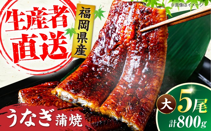 
                  国産 うなぎ 蒲焼 大5尾 合計 800g（1尾あたり 160g以上）《豊前市》【福岡養鰻】 国産 うなぎ 鰻 ウナギ 蒲焼 うなぎ 蒲焼き うなぎ 冷凍 鰻 うなぎ ウナギ 鰻 人気 ウナギ うなぎ おすすめ ランキング うなぎ おいしい unagi うなぎ かばやき うなぎ 高級 贅沢 うなぎ ウナギ 鰻 ひつまぶし うなぎ ウナギ 鰻 九州 [VAD004]
                