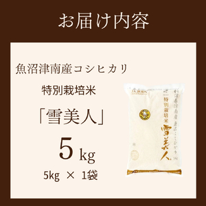 【3ヶ月定期便】魚沼産コシヒカリ 特別栽培 雪美人  5kg  | 津南町 魚沼 令和8年