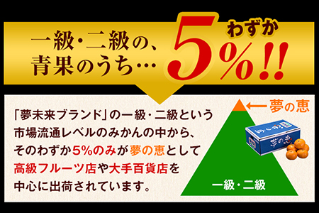 夢の恵 みかん 約2.5kg(20玉～30玉前後) 熊本県産 （長洲町産含む） 糖度12度以上 ブランドみかん ブランド 贈答用 贈り物《11月中旬-12月下旬頃出荷》 熊本県 長洲町