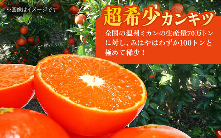 【2024年12月より発送】【ご家庭用】 みはや 3kg 長与町/果豊園[ECL004] / みかん みはや みかん みはや みかん みはや みかん みはや みかん みはや みかん みはや みかん み