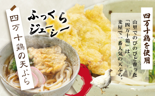 24-798．四万十うどんと四万十鶏の天ぷら5食セット