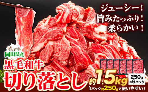 牛肉 黒毛和牛 切り落とし 1.5kg 《30日以内に出荷予定(土日祝除く)》 岡山県 矢掛町 牛 牛肉 和牛 牛丼 カレー 小分け 小分けパック 250g 送料無料