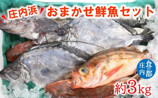 
                  食の都庄内　庄内浜のおまかせ鮮魚セット約3kg
                