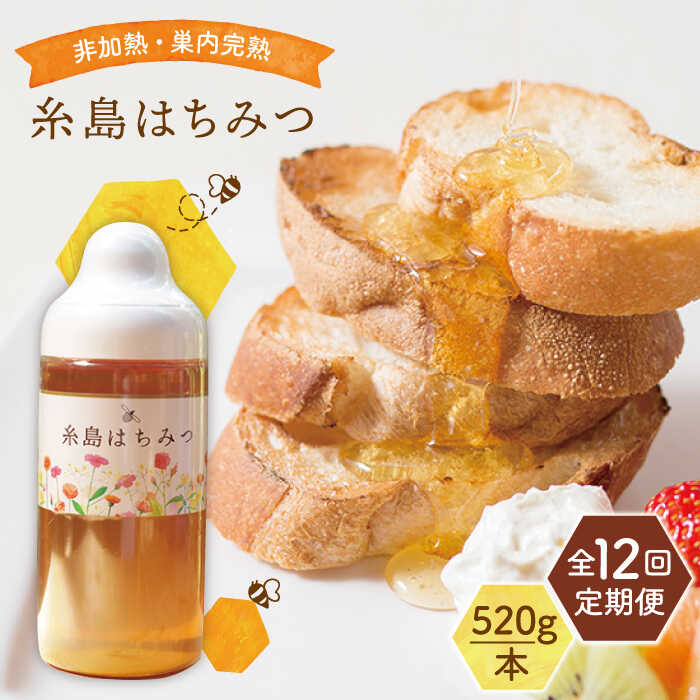 【ふるさと納税】【全12回定期便】糸島 はちみつ 520g 糸島市 / ヴァンベールフーズ /百花 / 蜂蜜 [AFJ007]20万円205000円