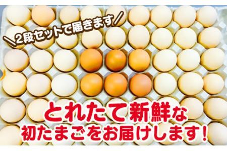 【最短翌日発送】＼２～５日以内発送／  初たまご プレミアムひまわりたまご108個程度※破卵補償