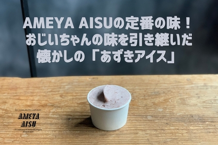 【定期便3ヶ月毎月お届け】AMEYA AISU アイスクリーム＆シャーベット おまかせギフトボックス 100ML×10個入