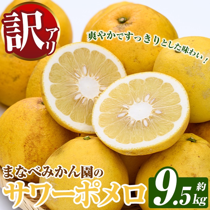 訳あり！まなべみかん園のサワーポメロ (約9.5kg) 国産 鹿児島県産 阿久根市産 柑橘類 みかん ミカン 蜜柑 果物 フルーツ サワーポメロ 期間限定 数量限定 デザート 訳アリ 【有限会社まなべみかん園】akn034-08