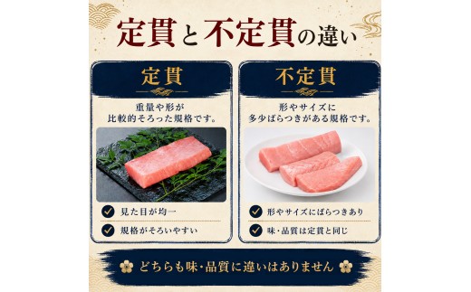 訳あり 不定貫 定期便 12回 国産 養殖本マグロ 中トロ・赤身・ブツ切り 3種 毎回120〜300g 月替わり×12回 黒潮本まぐろ 全国養殖クロマグロ品評会 最優秀賞受賞 12ヶ月 12か月 一年