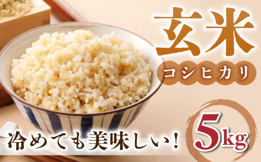 玄米5kg【冷めても美味しいコシヒカリ】｜最短4〜7日程度でお届け　※着日指定不可【小田農園】