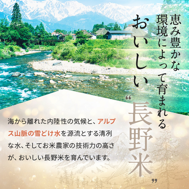 信州米 こしひかり 白米