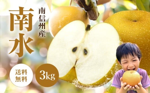 
                  南信州産 梨【南水】3kg ＜2026年9月中旬～下旬発送＞| 山清農園 果物 フルーツ 果実 なし 和梨 梨 南水 長野県 飯田市 信州
                