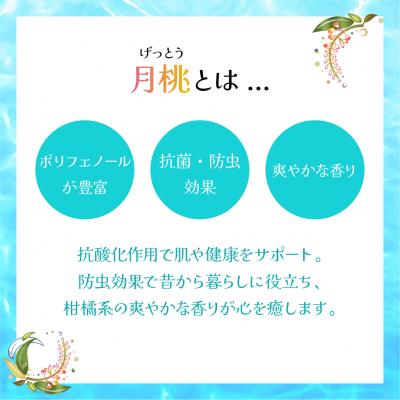 ふるさと納税 石垣市 幸-美彩-さちちゅらいろ 島の日焼け止め(30g) |  | 01