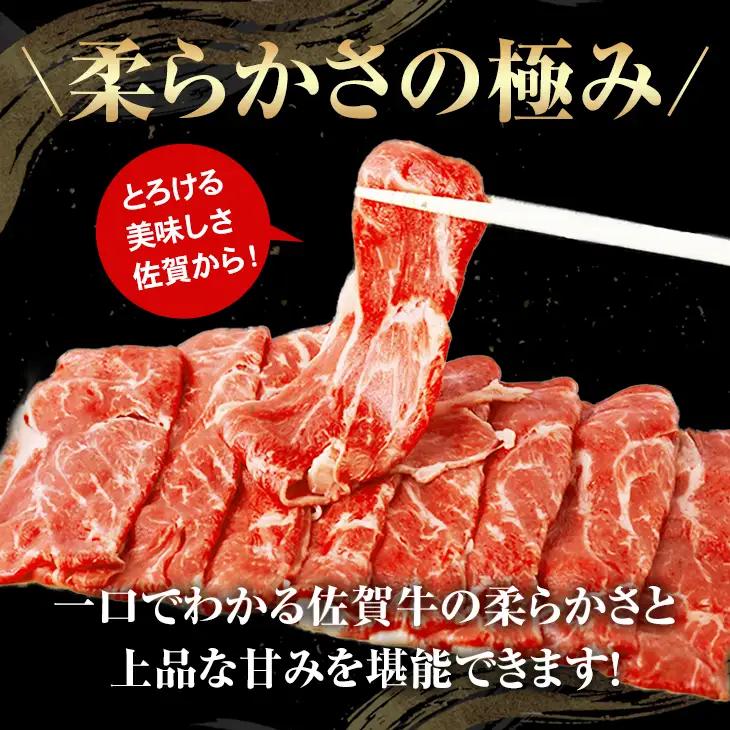 佐賀牛 牛肉切り落とし 1kg  牛肉切り落とし B190-006