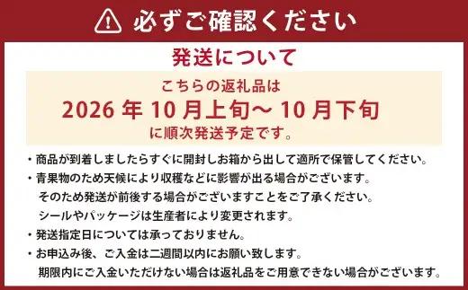 熊本産 あけび 約3kg 10～15玉入り 【2026年10月上旬～下旬迄発送予定】