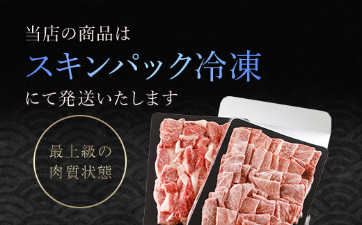 神戸牛 焼肉用 600g・訳あり焼肉用 500g セット 合計 1,100g AS8D27-ASGY3 | 神戸ビーフ 神戸肉 黒毛和牛 国産和牛 ブランド和牛 牛肉 牛 肉 お肉 兵庫県 朝来市