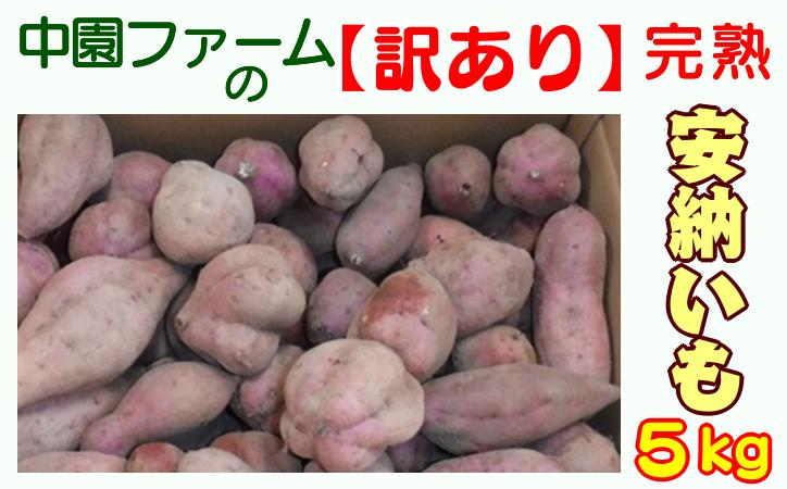 中園ファーム の 【訳あり】 完熟 安納いも 5ｋｇ　NFN401 【200pt】