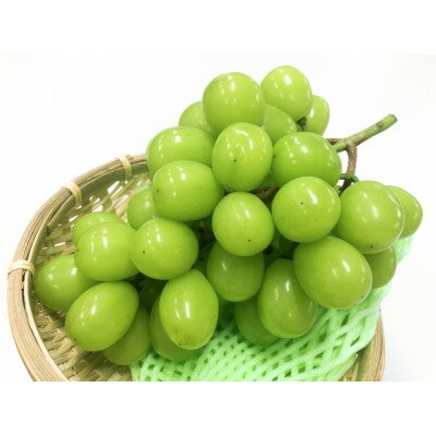 【ふるさと納税】長野の大人気品種　産地直送　シャインマスカット　ハウスもの　2kg(3～5房)【配送不可地域：離島】【1534996】