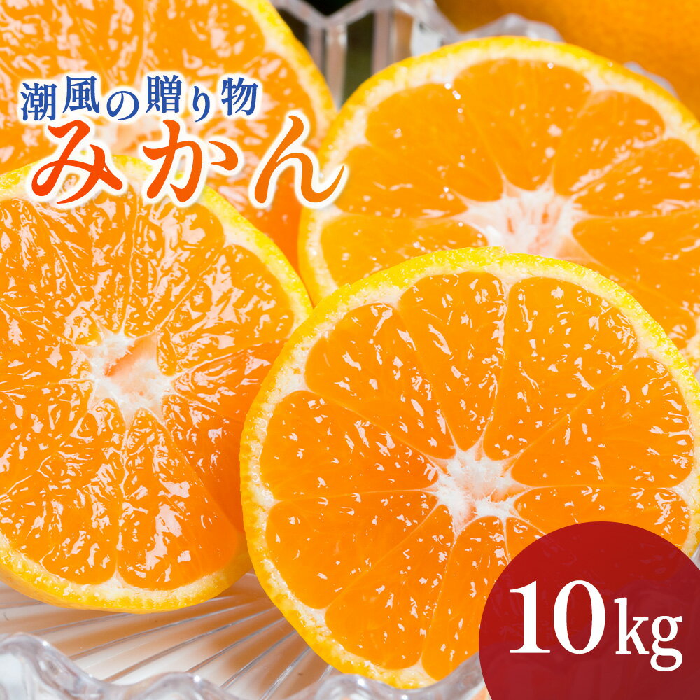 【ふるさと納税】潮風の贈り物 みかん 10kg みかん ミカン 蜜柑 たらみかん 太良みかん 温州みかん 完熟みかん 甘熟 柑橘 有機栽培 国産 佐賀県産 太良町 こだわり 贈答品 産地直送 詰め合わせ 極甘 N38