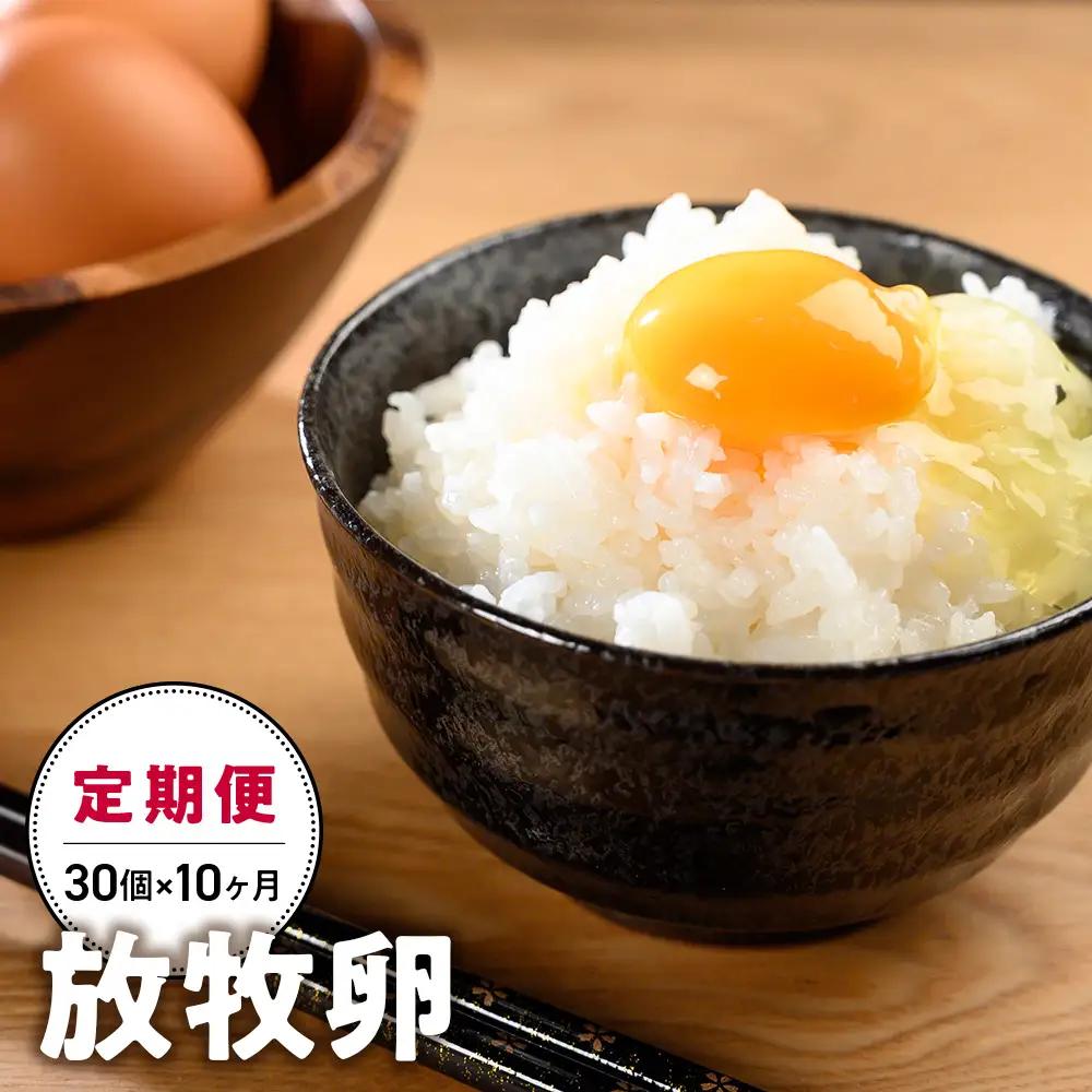 【10ヵ月定期便】放牧卵30個×10ヶ月 卵定期便 山梨県 甲斐市 B-20