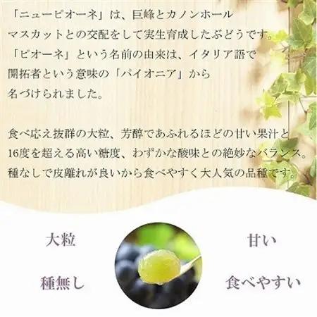 【2026年8月下旬より発送】ご家庭用　岡山県産　ピオーネ　400g×2房【配送不可地域：離島・北海道・沖縄県】【1409714】
