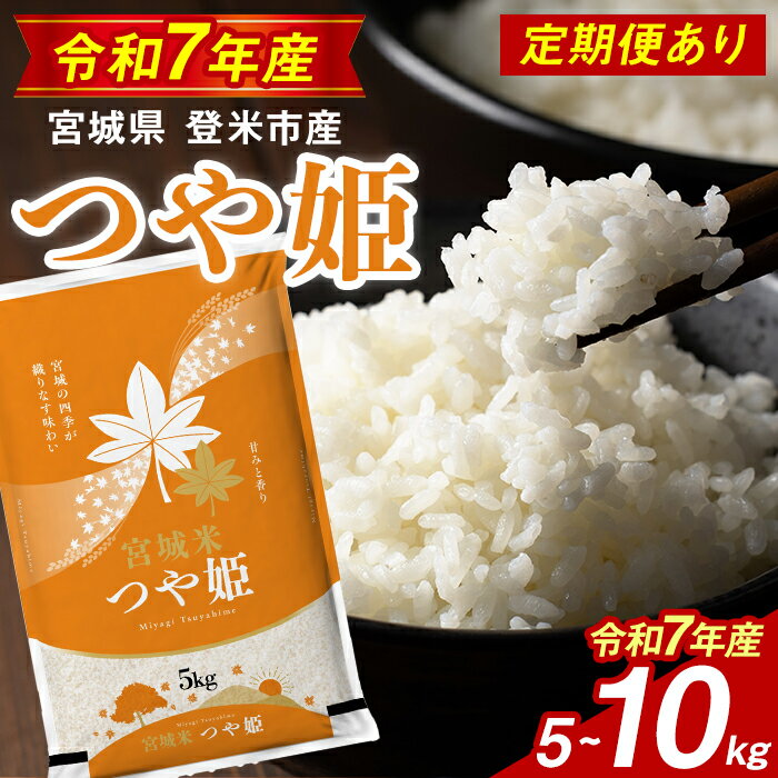 【ふるさと納税】【最短14営業日以内に発送予定】≪令和7年産≫ つや姫 精米 5〜10kg ＜定期便も可！＞ 登米市産 お米 おこめ 米 コメ 白米 ご飯 ごはん おにぎり お弁当 5kg 10kg 定期便 頒布会 【登米ライスサービス株式会社】tm145