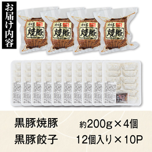 【B02104】ふるさと2選B 焼豚(約200g×4個・計800g)と餃子(12個入×10パック・計120個)のセット 鹿児島 国産 九州産 黒豚 豚肉 お肉 焼豚 餃子 冷凍 おかず ギフト 贈答 
