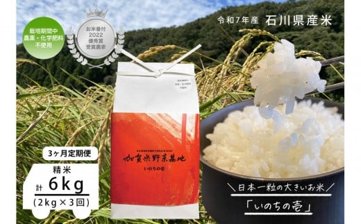 《令和7年産 新米》【3ヶ月定期便】【お米番付優秀賞受賞農家】日本一粒の大きいお米『いのちの壱』白米2kg×3回